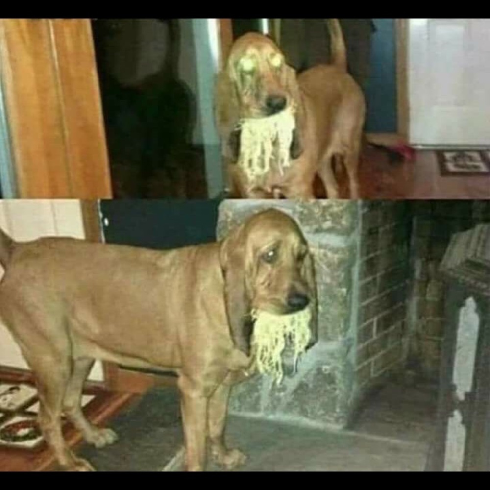 Meet your Posher, Juliana